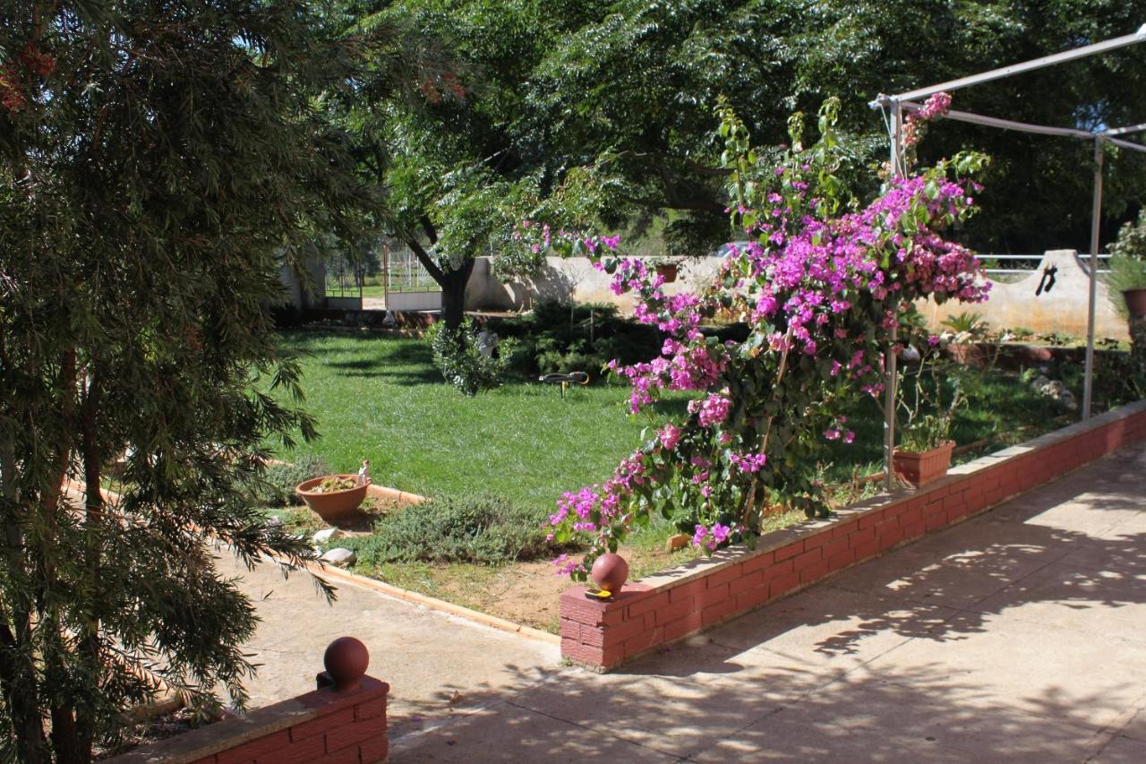 Apartments For Families With Children Privlaka, Zadar - 5747 外观 照片