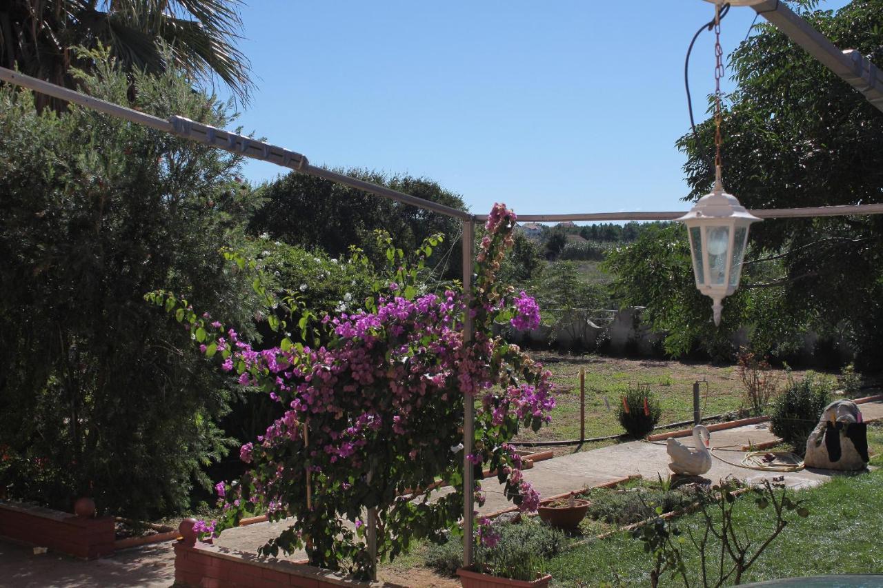 Apartments For Families With Children Privlaka, Zadar - 5747 外观 照片